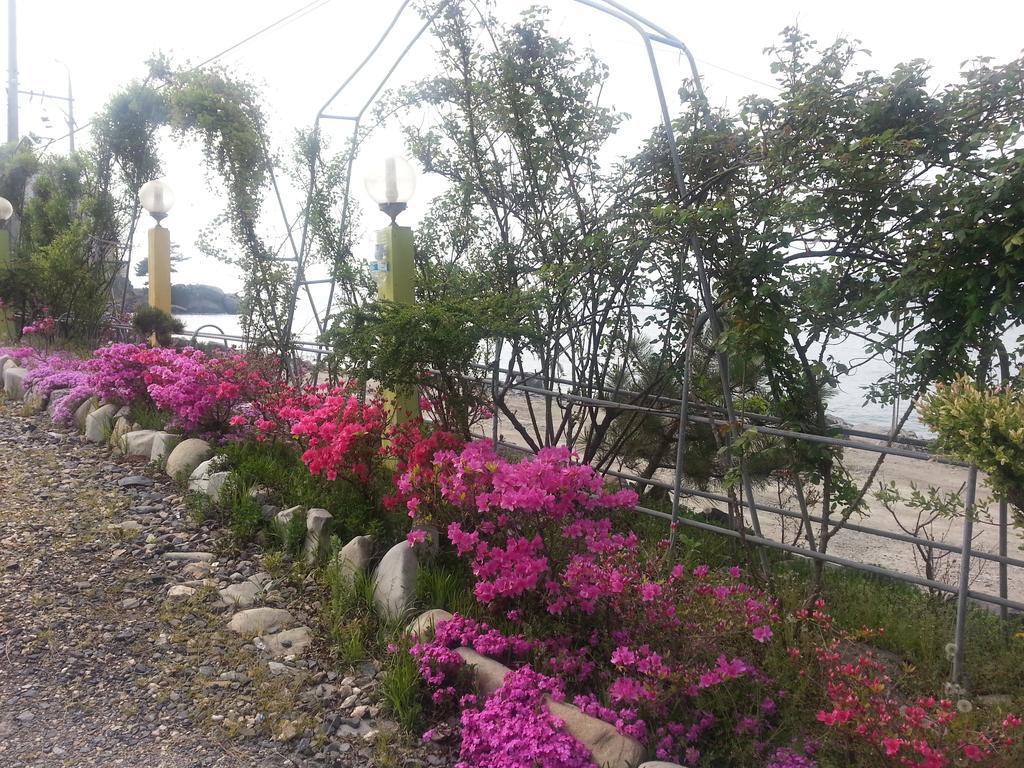 Yongdu Beach Pension Борьонг Екстериор снимка