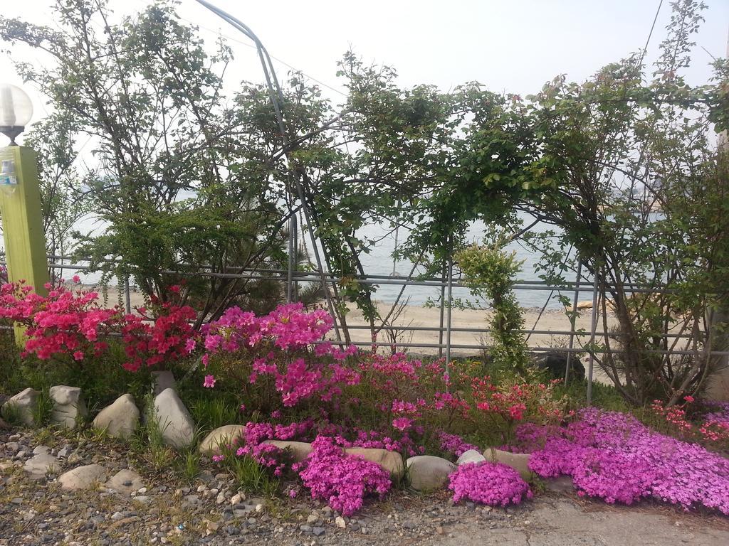 Yongdu Beach Pension Борьонг Екстериор снимка