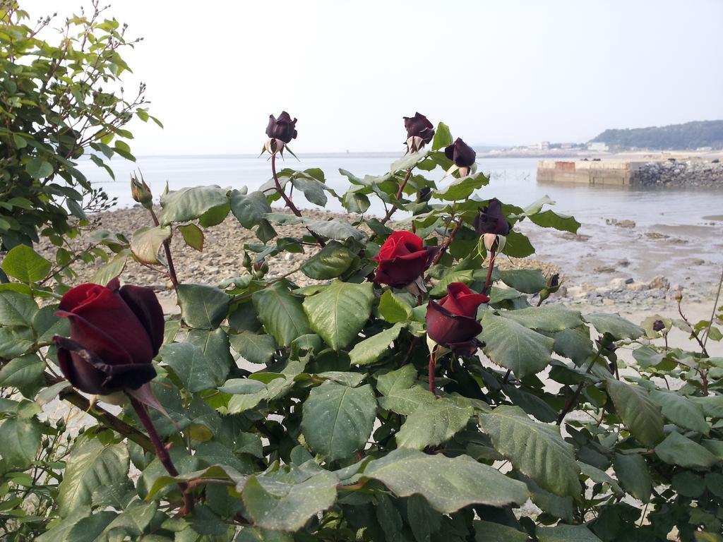 Yongdu Beach Pension Борьонг Екстериор снимка